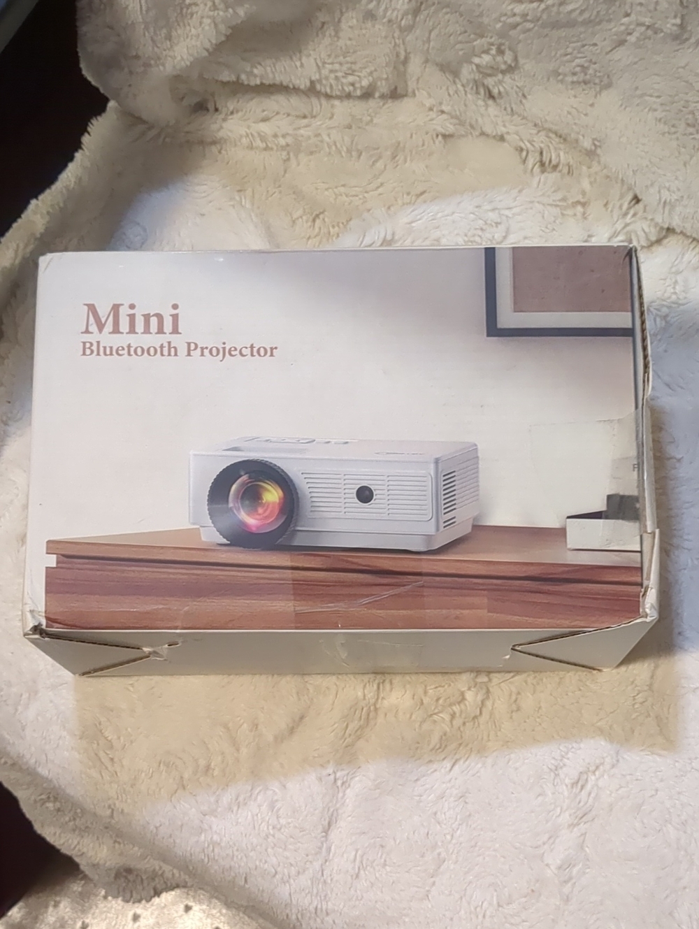 Projector